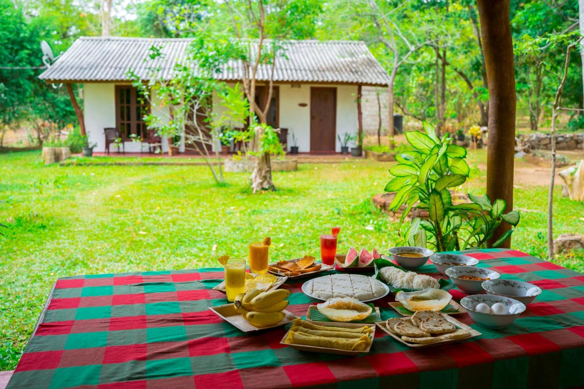 Wild Hut Habarana Bed & Breakfast Екстериор снимка