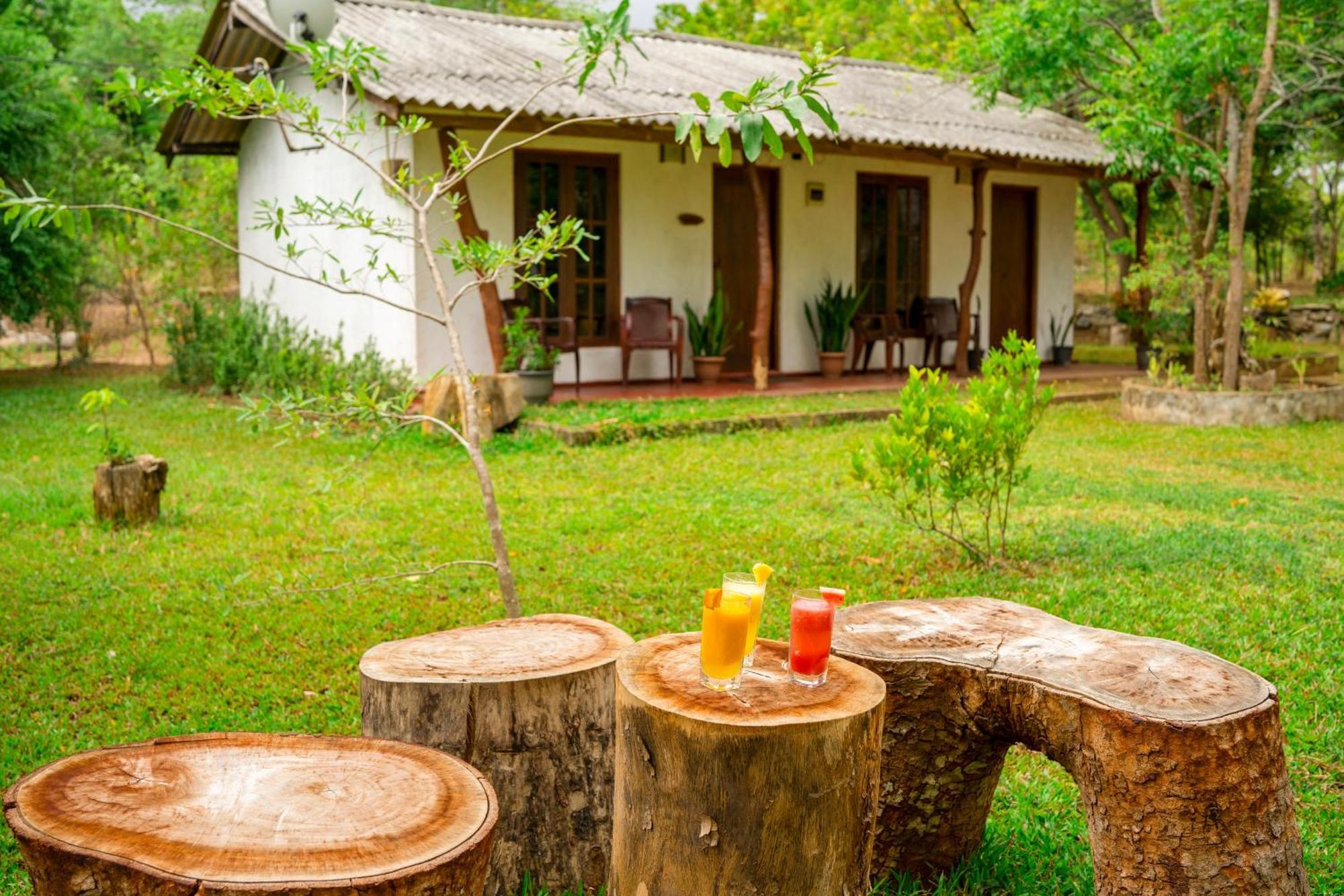 Wild Hut Habarana Bed & Breakfast Екстериор снимка
