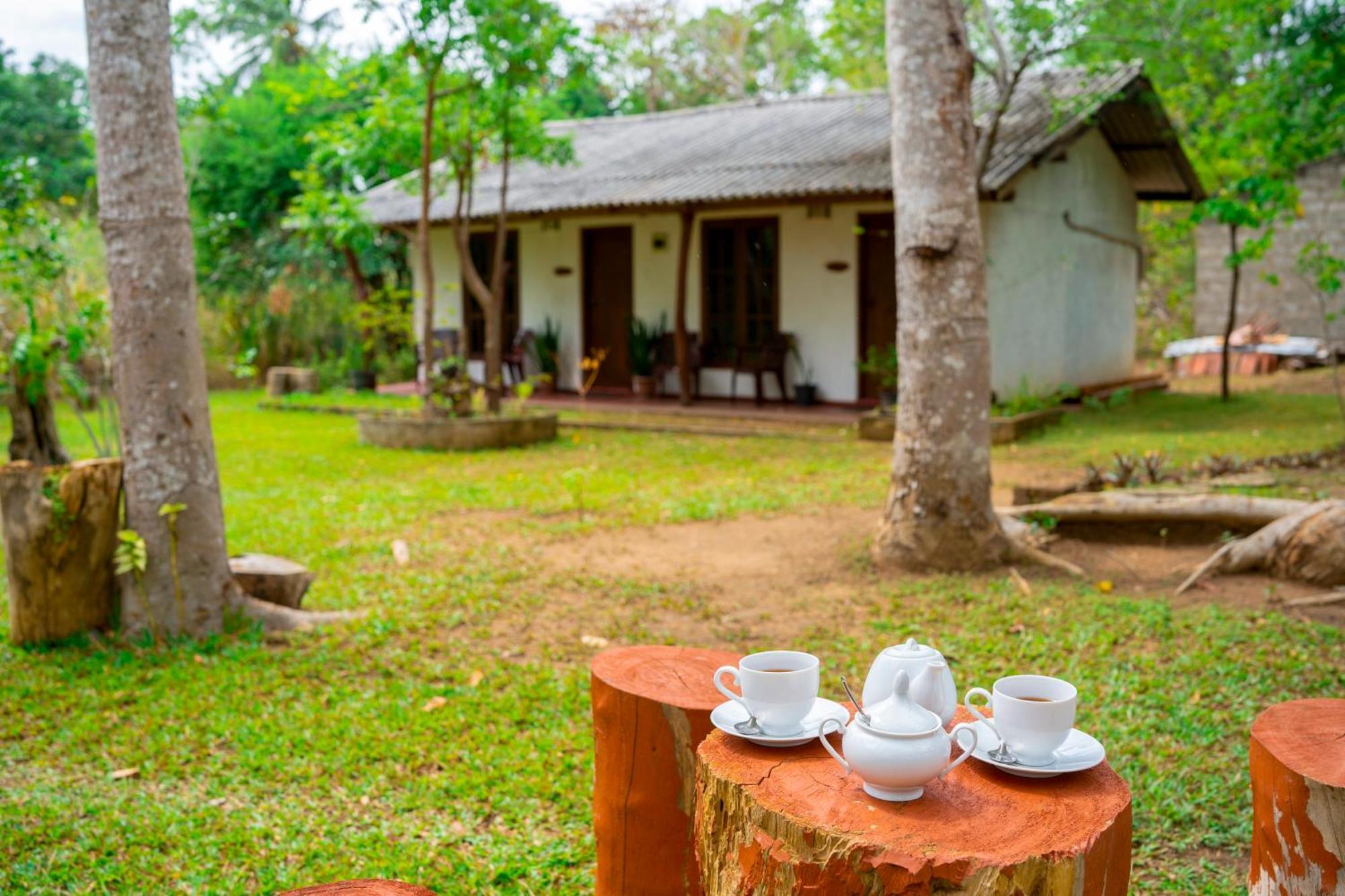 Wild Hut Habarana Bed & Breakfast Екстериор снимка