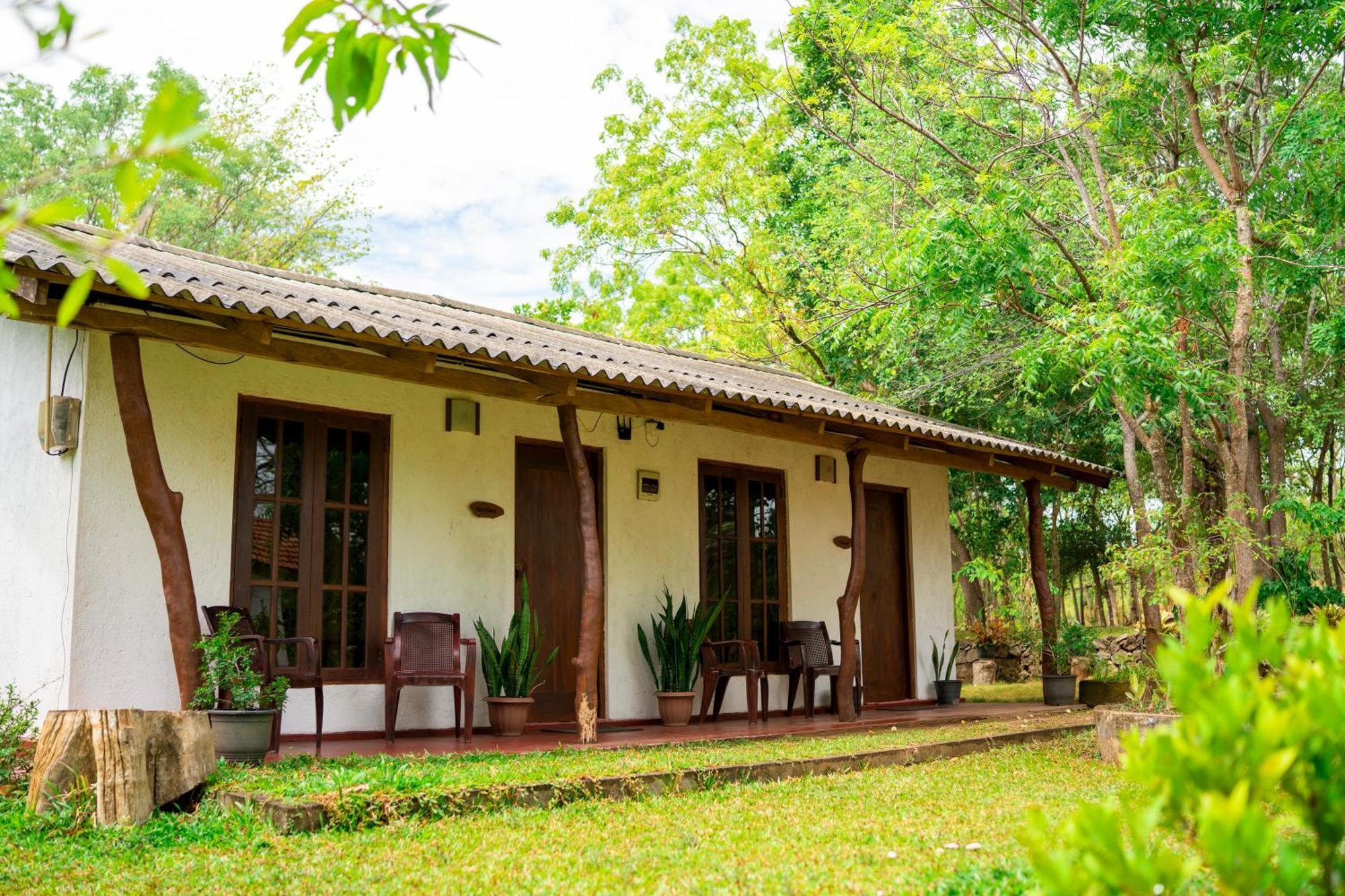 Wild Hut Habarana Bed & Breakfast Екстериор снимка